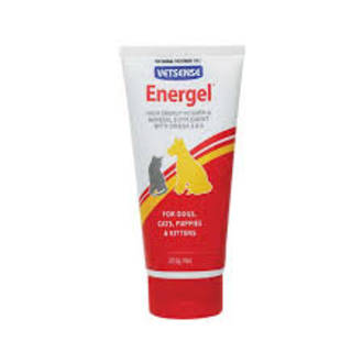 Energel Vetsense 200g is a highly palatable source of energy for Dogs, Cats, Puppies & Kittens
